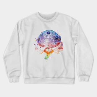 Eye Anatomy Watercolor Painting Crewneck Sweatshirt